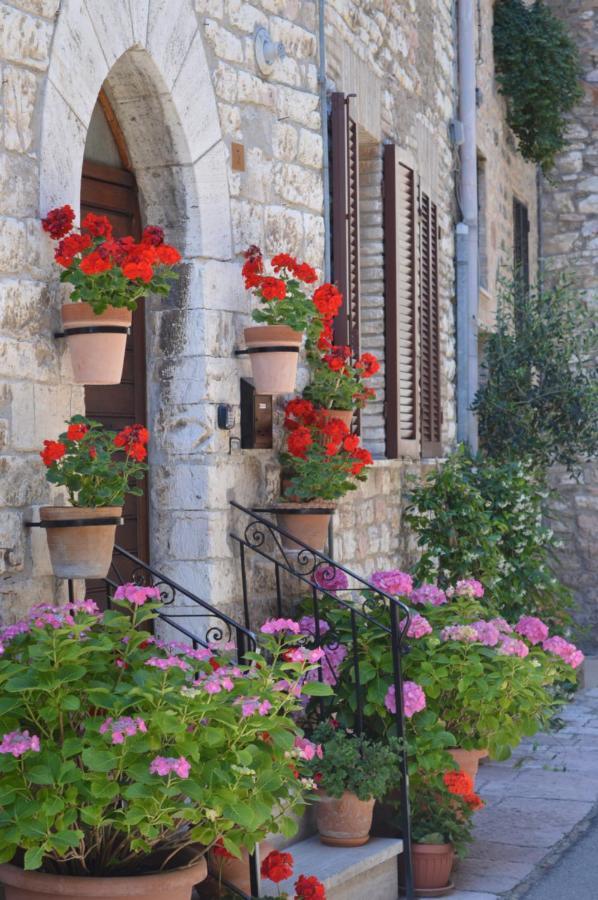 Casa Gentile Lägenhet Assisi Exteriör bild